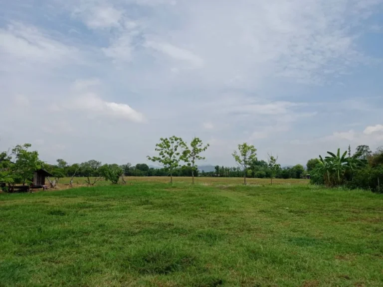 ขายที่ดินข้างกุลพันธ์ 9 บ้านแหวนหางดง ราคาถูก