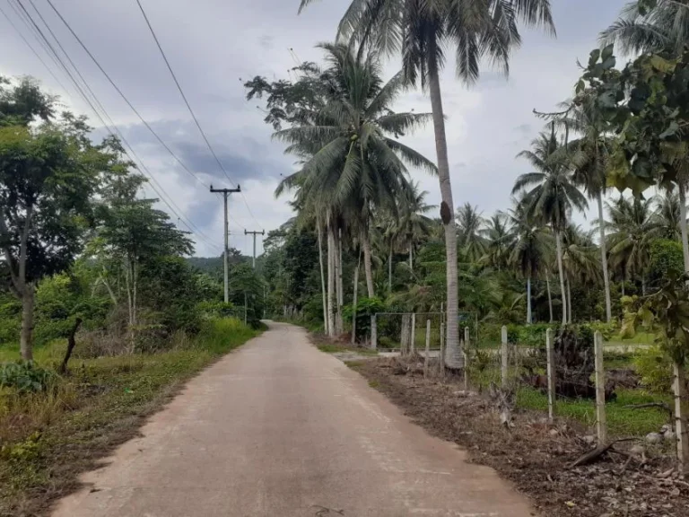 ขาย บ้านเดี่ยว ปทุมธานี คลองสี่ คลองหลวง หมู่บ้าน ปาริชาต