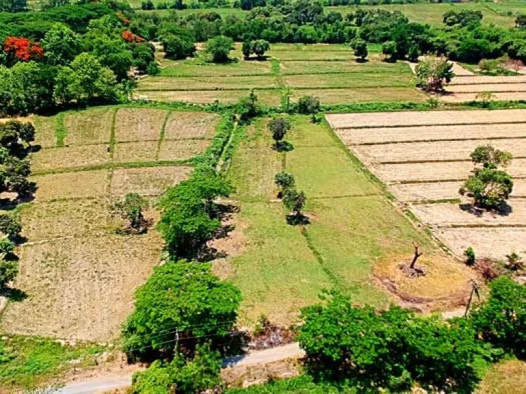 ขายที่ดิน สวนเกษตรสันทราย ตำบลหนองแหย่ง อำเภอสันทราย จังหวัดเชียงใหม่