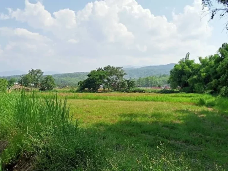 ขายที่ดินสะลวงแม่ริม ติดน้ำ ราคาถูก