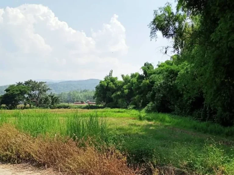 ขายที่ดินสะลวงแม่ริม ติดน้ำ ราคาถูก