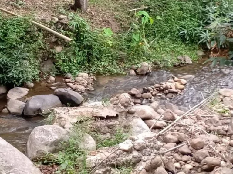 ขายที่ดินติดถนนคอนกรีต ติดน้ำไหลผ่านแม่ออน ราคาถูก