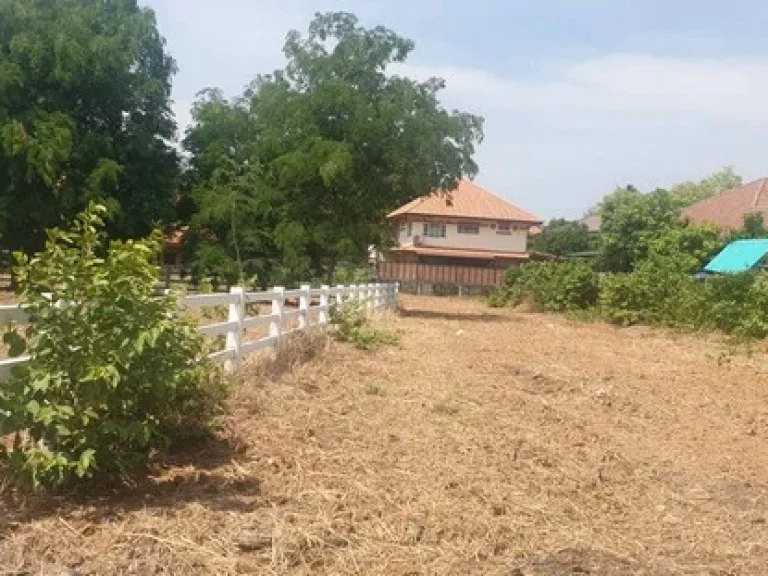 ที่ดินเปล่า ถมแล้ว เป็นรูปถุงเงิน เยื้องโรบิลสัน อเมือง จสระบุรี