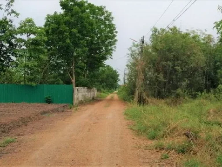 ขายที่ดิน แปลงสวย ถมแล้ว 100 ตรว ตำบล คลองห้า อำเภอคลองหลวง จังหวัดปทุมธานี