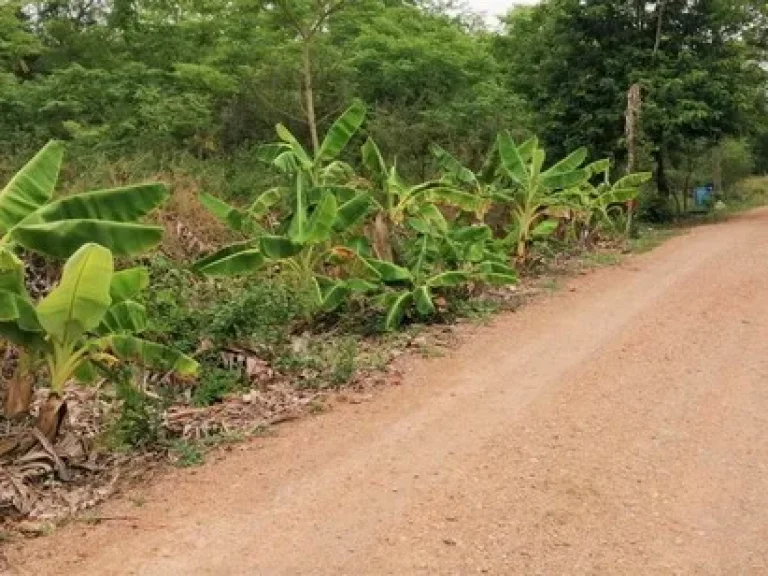 ขายที่ดิน แปลงสวย ถมแล้ว 100 ตรว ตำบล คลองห้า อำเภอคลองหลวง จังหวัดปทุมธานี