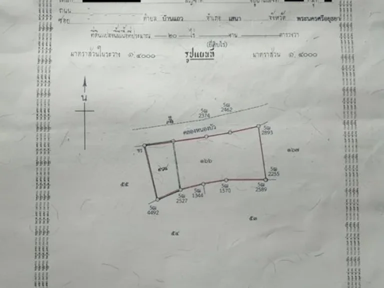 ขายที่ดินเป็นแปลงนาติดคลองหนองบัว อ เสนา จ อยุธยา 58 ไร่กว่า