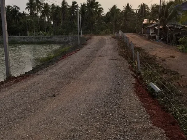 ขายที่ดินติดคลองใหญ่ ใกล้ถนนพระราม 2 แม่กลอง สมุทรสงคราม เจ้าของขายเอง