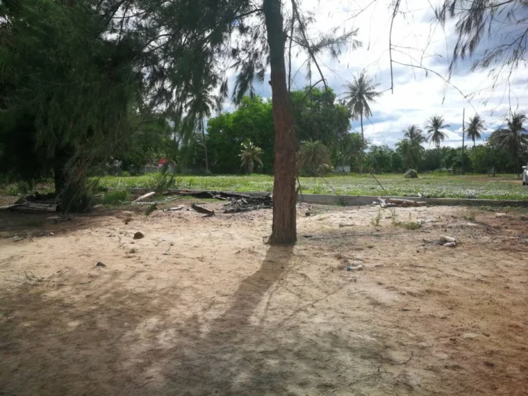 ขายที่ดิน 105 ตรว ใกล้ทะเล ห่างชายหาดเพิ่ง 50 เมตร บ่อนอก ประจวบ กุยบุรี โครงการปาร์คบีช