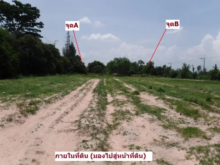 ที่ดินศรีราชา 13 ไร่กว่า ติดถนน 3 ด้าน ใจกลางเมืองขนาดใหญ่ เมืองแห่งอนาคต