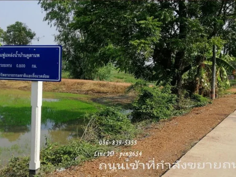 ขายที่ดินติดสระน้ำบ้านคูตานพ ตบ้านสร้าง หลังศูนย์วิจัยข้าว