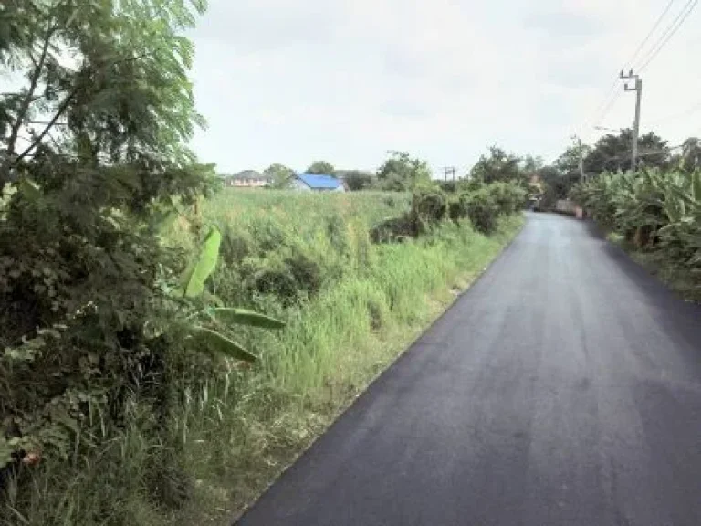 ขาย ที่ดิน ถูกที่สุดในย่านนี้ บางบอน5 แยก10 40ไร่ ห่างถนนบางบอน5 แค่100เมตร