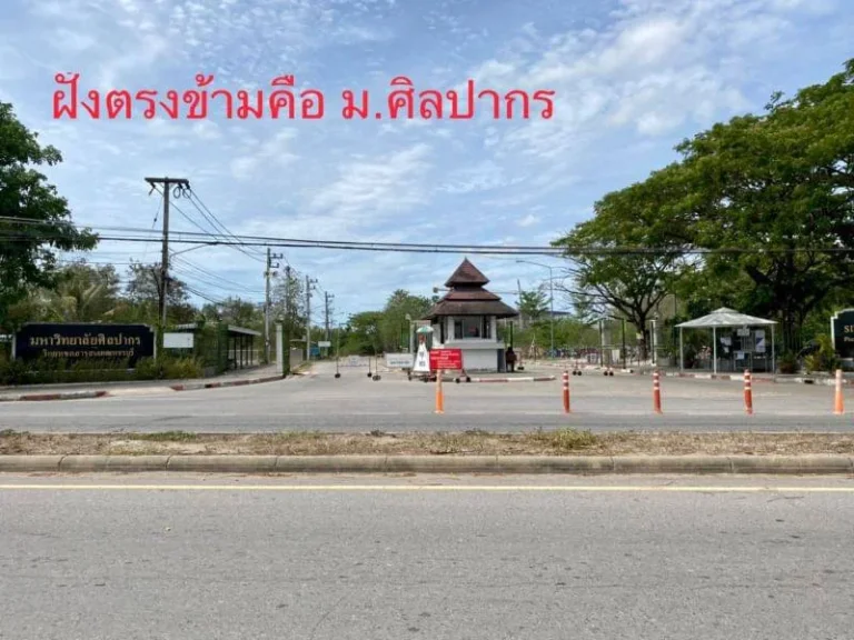 ขายที่ดินหน้ามศิลปากร เพชรบุรี ชะอำ สามพระยา รหัสทรัพย์ 630029