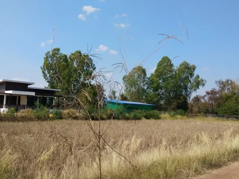 ที่ดินเปล่า 100 ตรว บ้านโนนแต้ ตสำราญ เมือง ขอนแก่น ใกล้ มข โลตัส ดูโฮม