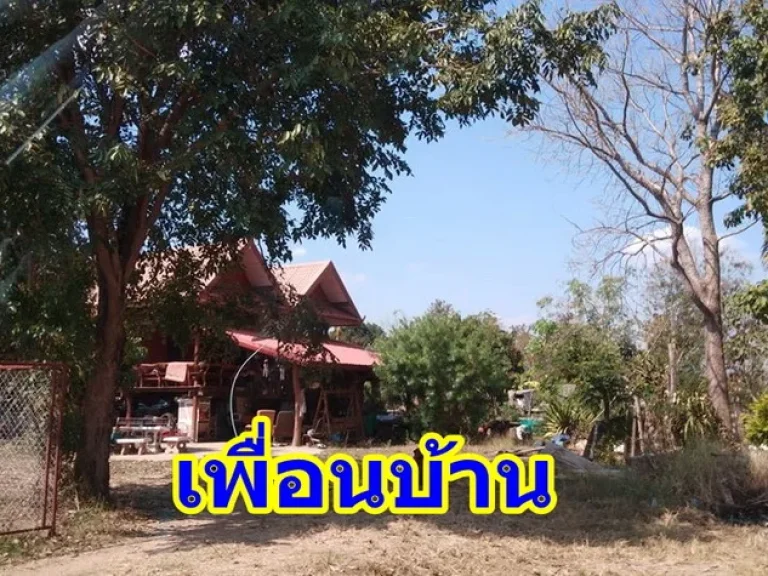 ที่ดินเปล่า 100 ตรว บ้านโนนแต้ ตสำราญ เมือง ขอนแก่น ใกล้ มข โลตัส ดูโฮม