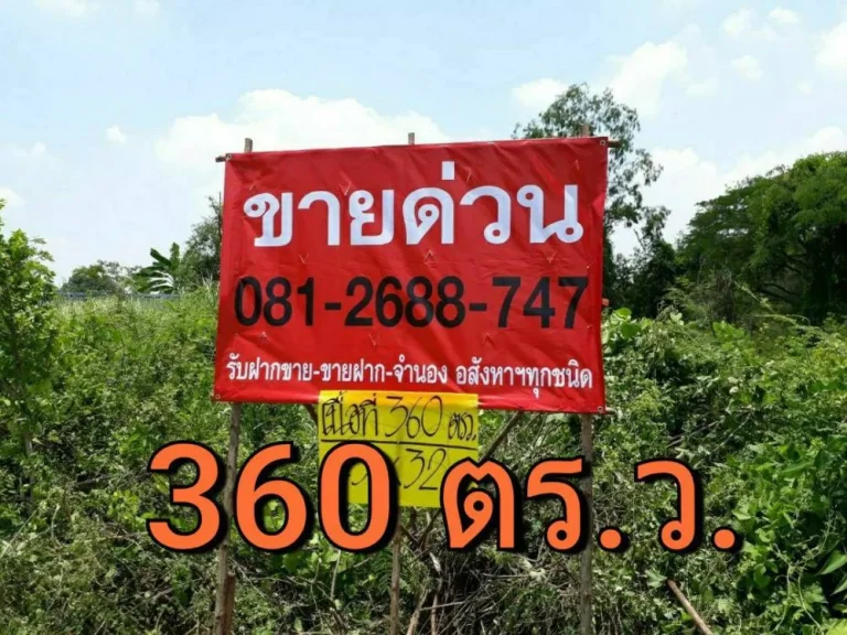 ขายที่ดินใกล้ถนนเอเชีย-บางปะหัน 360 ตารางวา ติดถนน บางปะหัน-นครหลวง อำเภอบางปะหัน จังหวัดพระนครศรีอยุธยา