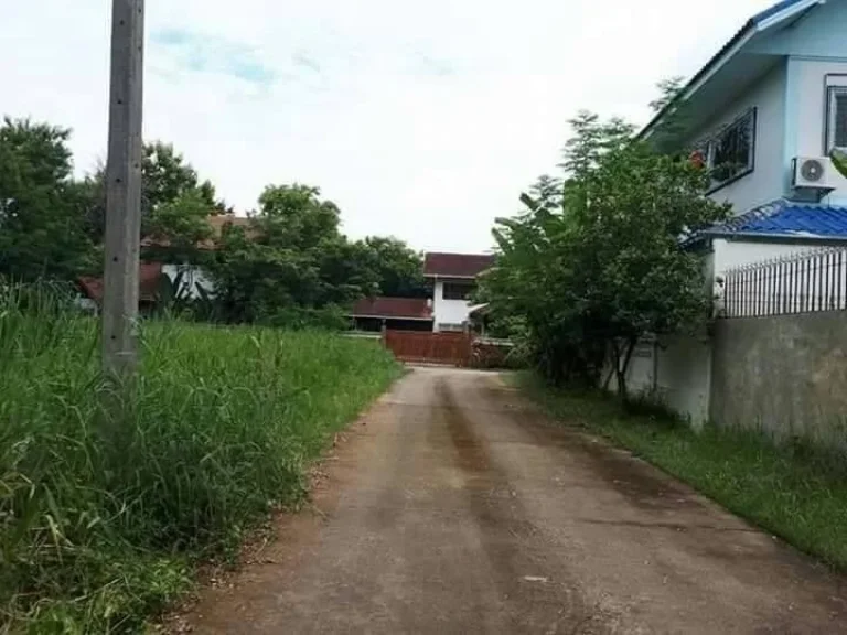 ขายที่ดินหลังโรงพักแม่ปิงหนองหอย เขตเมือง เชียงใหม่