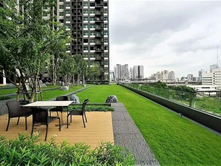 ให้เช่า ไลฟ์ อโศก Life Asoke ชั้น 15 ขนาด 36 ตรม 1 นอน วิวสวนมักกะสัน MRT เพชรบุรี