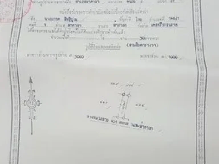 ขายตึก2 คูหาห้องหัวมุมริมถนนใหญ่ กว้าง 10 เมตร ลึก 12 เมตร 60 ตรว มีที่จอดรถรับลูกค้าได้ 4คัน ค้าขายสะดวก