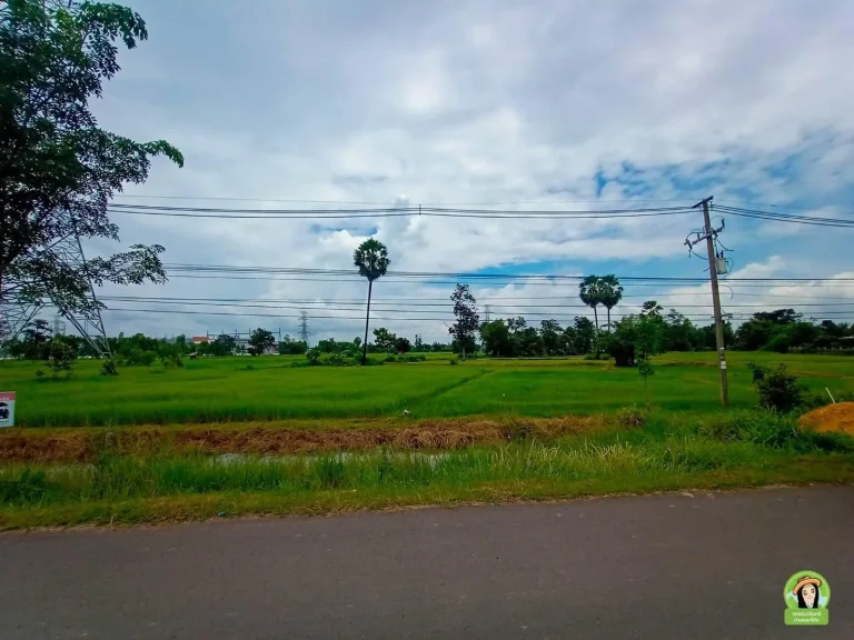 ที่ดินทำเทดีติดถนนแจ้งสนิท ราคากันเอง