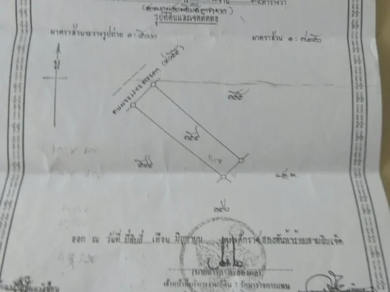 ขายด่วนที่ดิน ยะกัง 3งาน45ตารางวา