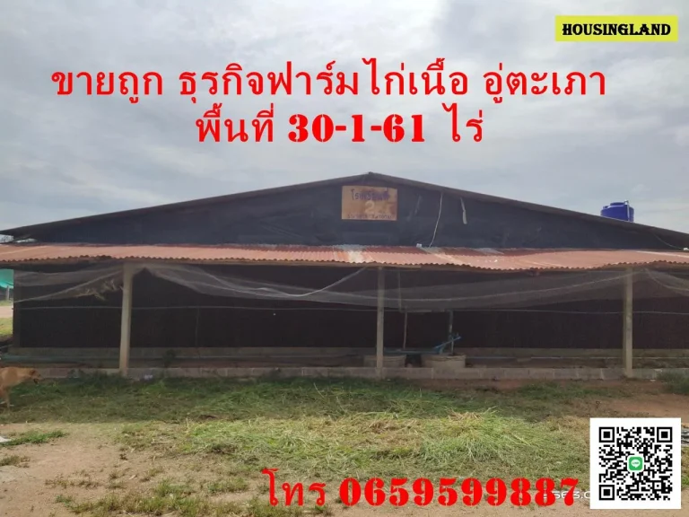 ขายถูก ธุรกิจฟาร์มไก่เนื้อ ตอู่ตะเภา อมโนรมย์ จชัยนาท