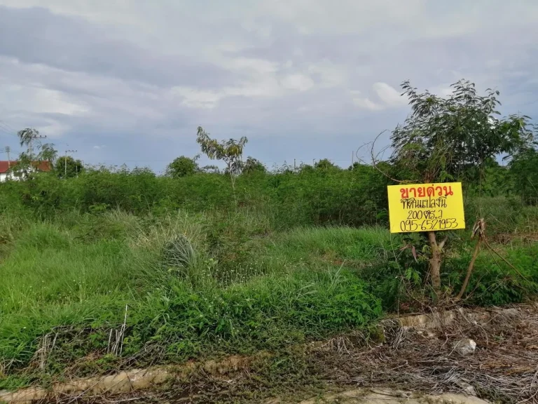 ขายด่วน ที่ดิน จัดสรรในหมู่บ้านส่องแสง ถนนสุพรรณบุรี-บางบัวทอง