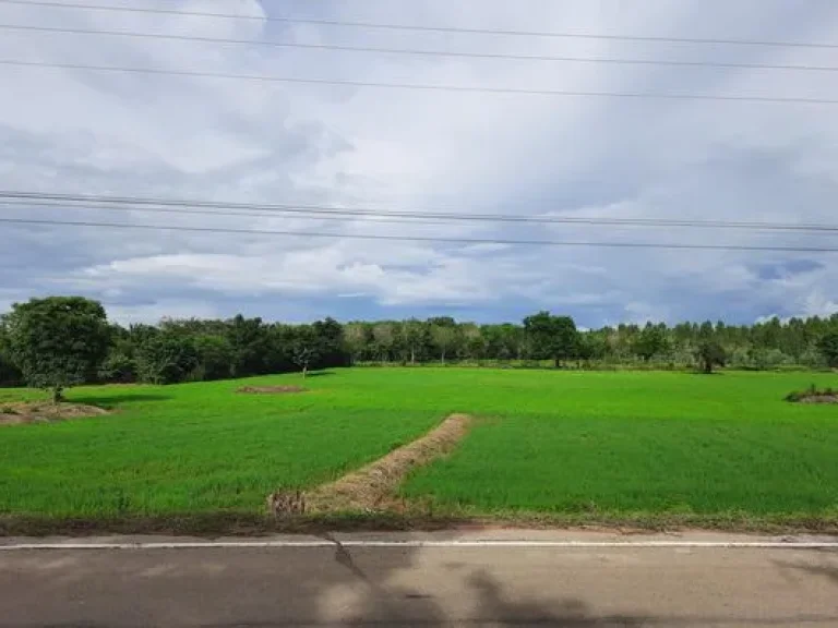 ที่ดินโฉนด8ไร่ ติดถนนลาดยาง มีไฟฟ้าประปาพร้อม ตบ้านโคก อเมือง จเพชรบูรณ์