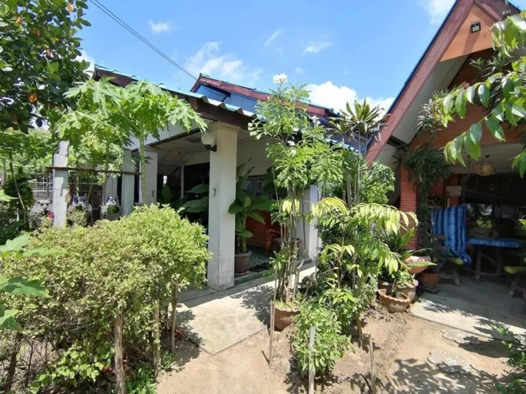 บ้านเดี่ยวทุ่งบูรพา ห่างแจ้งสนิท 450 เมตรราคา 19 ล้านบาท