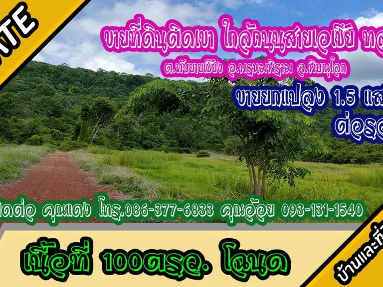 ขายที่ดินใกล้สายเอเชีย ติดภูเขา 100ตรว ตทับยายเชียง อพรหมพิราม พิษณุโลก ขายยกแปลง 15แสน