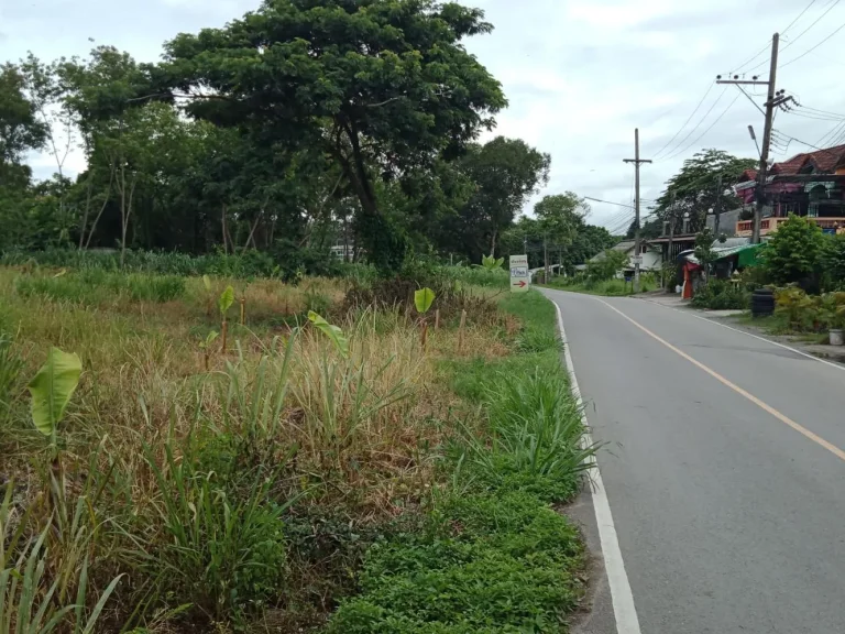 ที่ดินติดถนนหลักบ้านดอนแก้ว อแม่ริม