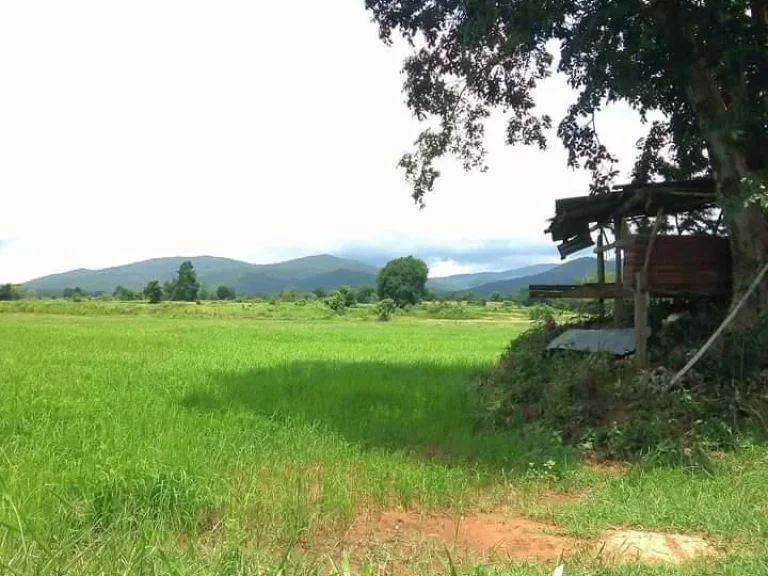 ที่ดินแปลงสวย ติดถนน วิว 360° อุตรดิตถ์