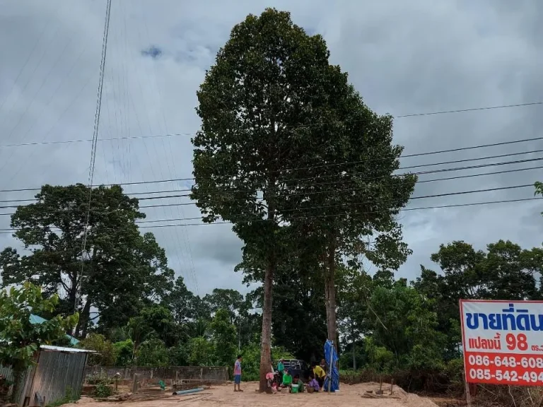 ขายด่วน ที่ดินในตัวเมือง ยโสธร 98 ตรวา เหมาะปลูกบ้านอบู่อาศัย