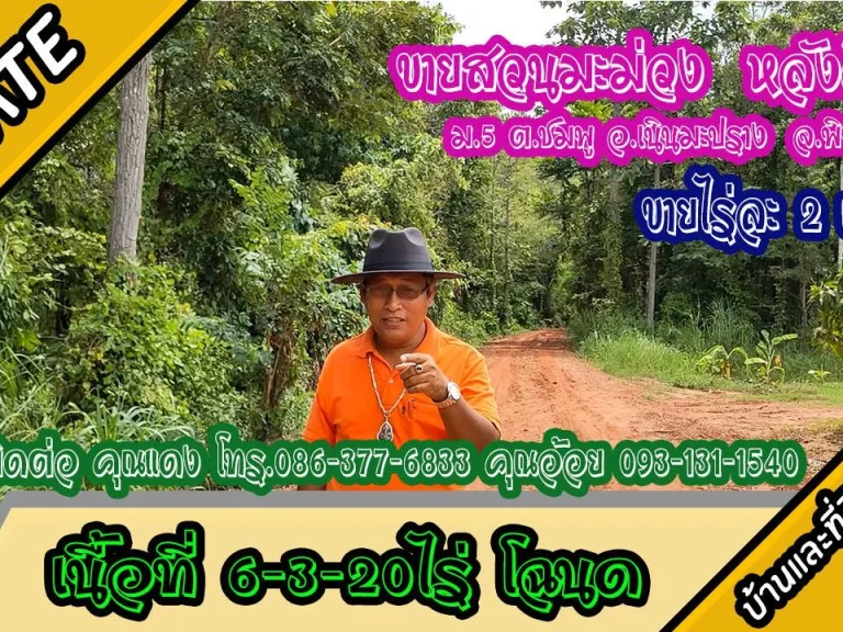 ขายสวนมะม่วงพร้อมป่า เนื้อที่ 6-3-20ไร่ วิวเขา บ้านปลวกง่าม ม5 ตชมพู อเนินมะปราง จพิษณุโลก ไร่ละ2แสน