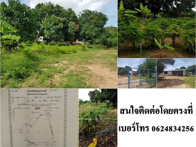 ขายที่ดินพร้อมโกดังในอำเภอสัตหีบจังหวัดชลบุรี