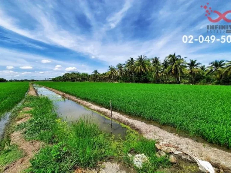 ขายที่ดินพร้อมสิ่งปลูกสร้าง 32-2-0 ไร่ ถนนศาลายา-นครชัยศรี อพุทธมณฑล นครปฐม