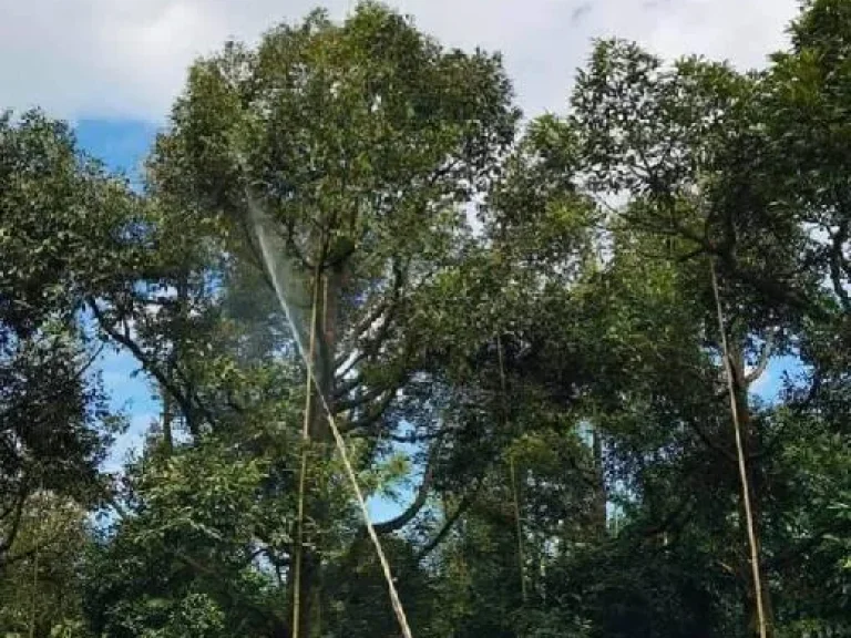 สวนผสม สำหรับขีวิตวัยเกษียน ใกล้เมืองใกล้รพและห้างสรรพสินค้า