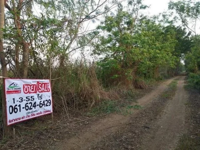 ขายที่ดินเปล่า คลอง13 รังสิต ปทุมธานี