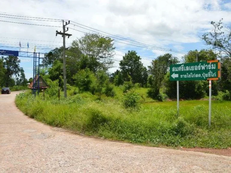 ขายที่ดินติดถนนทางหลวง 229 ขอนแก่น-แก้งคร้อ ชัยภูมิ 380000 Sale 350000 บาท