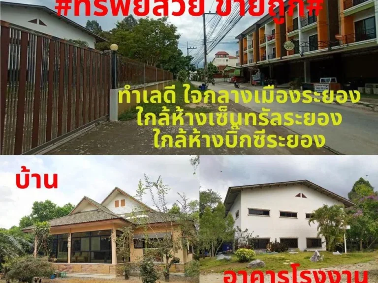 ที่สวยขายถูก ขายบ้าน อาคารโรงงาน พร้อมที่ดิน เนื้อที่ 7-1-92 ไร่ ใกล้เซ็นทรัลระยอง อเมือง จระยอง ไร่ละ 55ล้าน