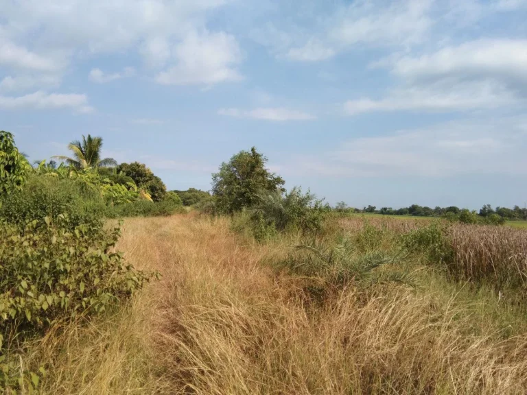 ขายที่ดินหนองจอก 1 ไร่ ราคาพิเศษสุดๆ