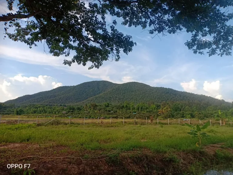 ขายที่ดินแปลงเล็ก 168 ตรว หน้าน้ำ หลังเขา