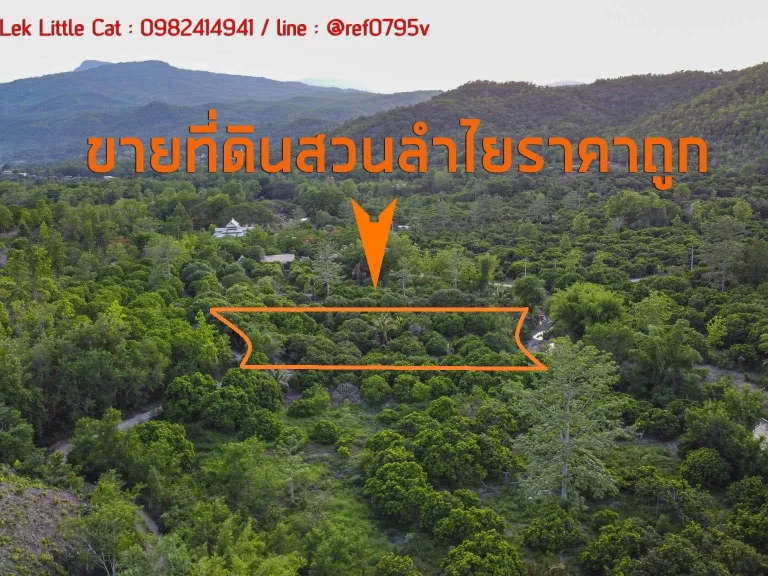 ขายที่สวนลำไยราคาถูก ติดน้ำ วิวภูเขา โฉนดครุฑแดงพร้อมโอน