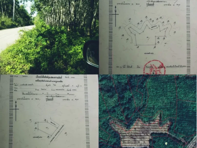 ขายที่ดินสวนยางราคาดีๆ 7 ไร่ 3งาน 38 ตารางวาขายรวม 2 ล้าน 8 แสนบาท