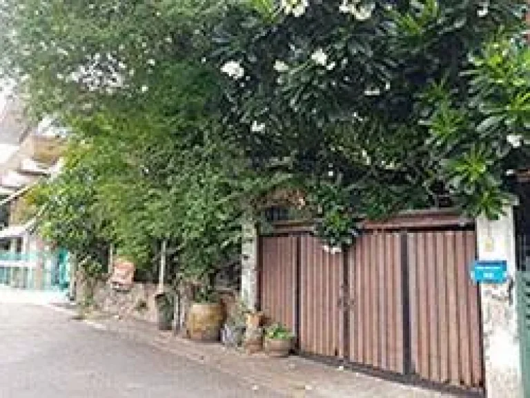 ขายที่ดินด่วน ซอยปรีดี 20 สุขุมวิท 71 เหมาะสร้างบ้าน เก็งกำไร Land For Sale Soi Pridi 20 Sukhumvit71 Good for Investment