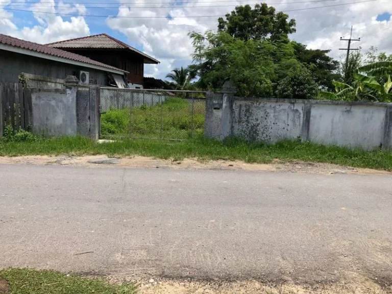 ขายที่ดินบ้านหม้อป่าไผ่ สันทราย ล้อมรั้ว เรียบร้อย