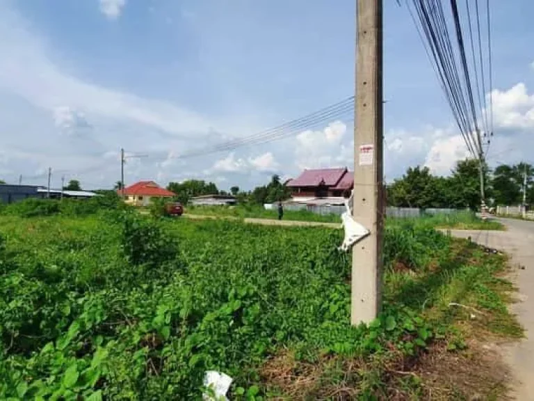 ขายที่ดินสันผีเสื้อ ติดถนนคอนกรีต เขตเมือง เชียงใหม่