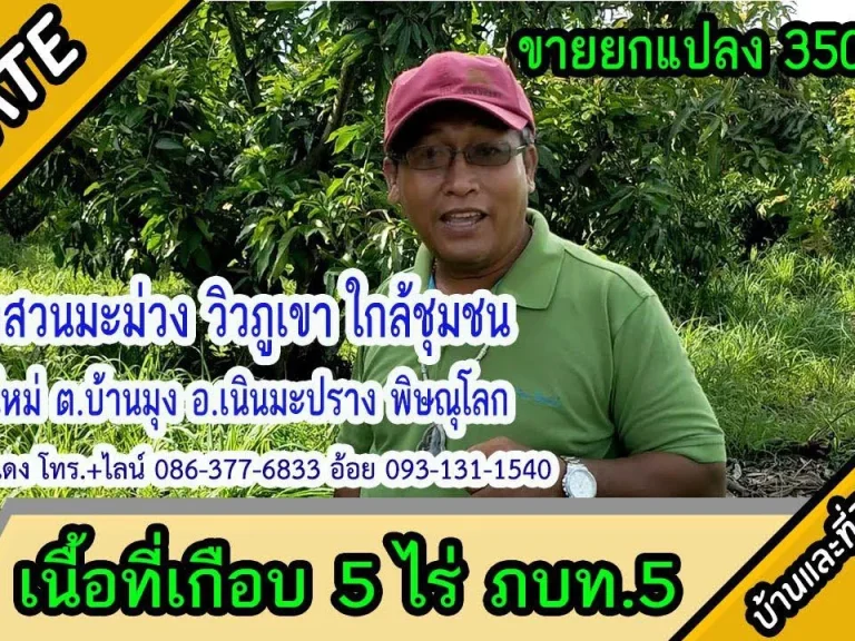 ขายสวนมะม่วง วิวเขา เกือบ 5 ไร่ บ้านใหม่ ตบ้านมุง อเนินมะปราง พิษณุโลก ยกแปลง 35แสน