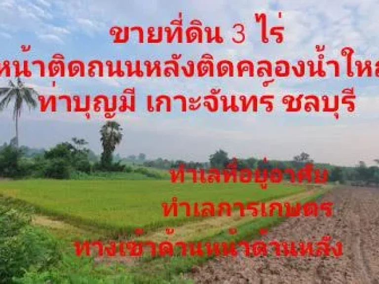 ขายที่ดิน 3 ไร่ ทำเลที่อยู่อาศัยและการเกษตร แปลงสวย ทำเลดี ทำเกษตรได้ทั้งปี มีน้ำจากคลองตลอดปี