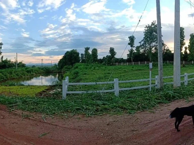 ที่เนิน 250ตรวหน้าติดน้ำหลังติดเขา