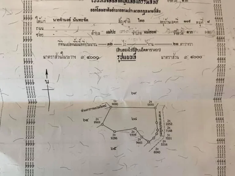 ที่ดินเปล่า 12 ไร่ อแม่สอด